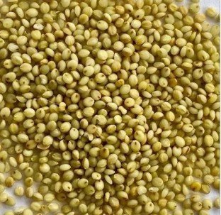 Andu Korralu (Brown Top) Mille